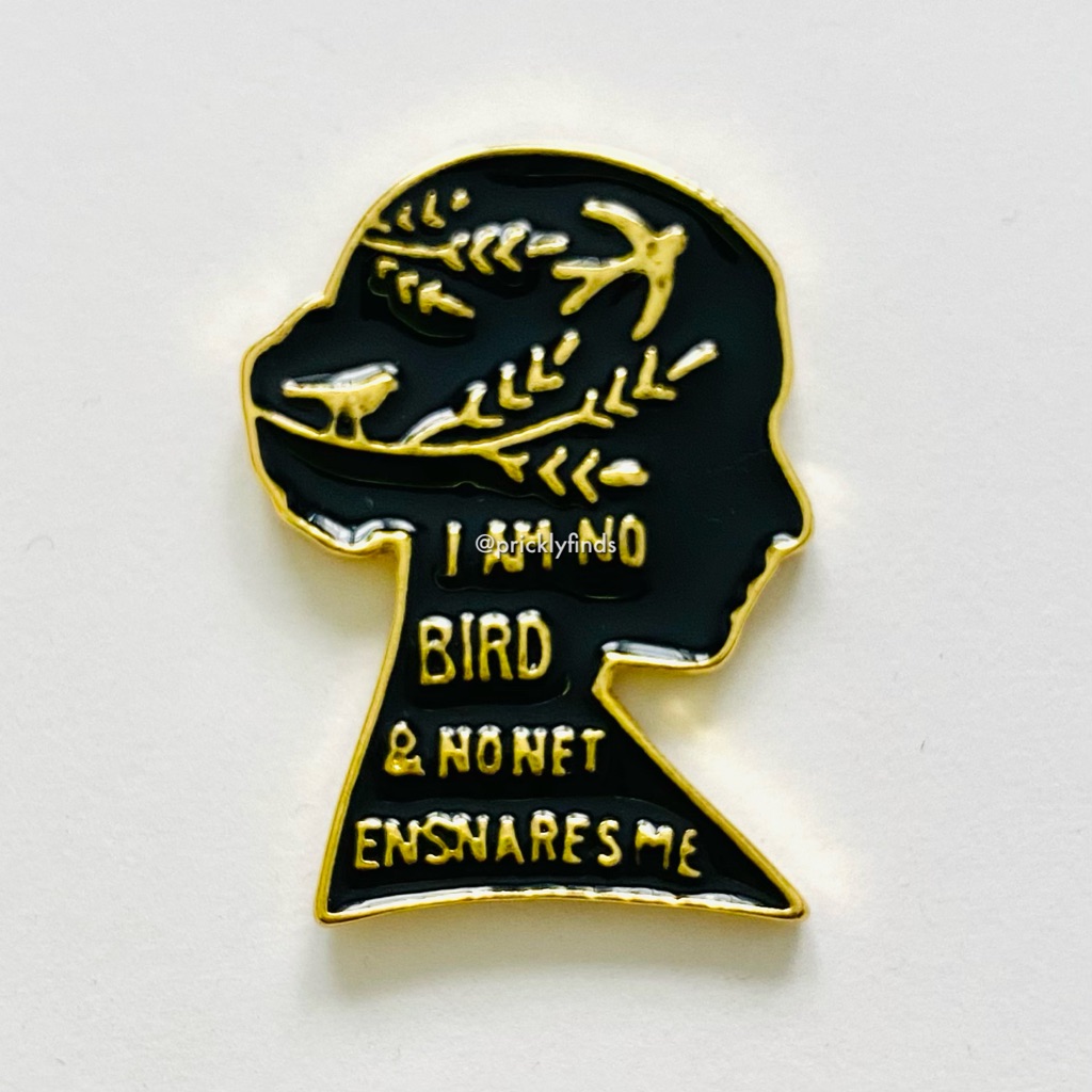 840 I Am No Bird And No Net Ensnares Me Enamel Pin 8$
